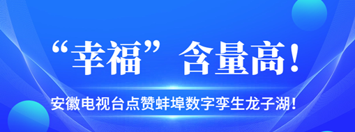 ?“幸?！焙扛撸不针娨暸_點贊蚌埠數(shù)字孿生龍子湖！